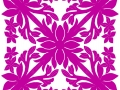 Plumeria