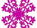 Orchid
